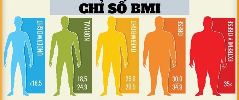 Chỉ số BMI được minh họa theo các nhóm: thiếu cân dưới 18,5; bình thường 18,5–24,9; thừa cân 25–29,9 và béo phì từ 30 trở lên.